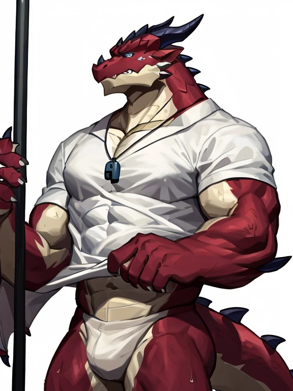 POV,top angle,sleep on stomach,lats,trapezius,butt lift,kemono, anthro (dragon), male, (dragon), muscular, back, red body, white belly ,sweat, ((correct anatomy)),stand up, sexy stand, white background, 1 boy, solo, pain expression, canine tooth, hd, dark shadows, wide dynamic range, hdr, low light:1.2, front view, dragon, hairy, black and white fur, hairy, Sweating, Sparkling blue eyes, Big pink‚ with big‚ abs‚ handsome‚ sex, sad face, wearing white shirt, shirt, up view, high quality, super detail, short, 1080P, high quality, high quality, best quality, 8k, super detail, 16k, injury, bloods, half body, full view, whistle, looking up, face up, side view, selfie, phone