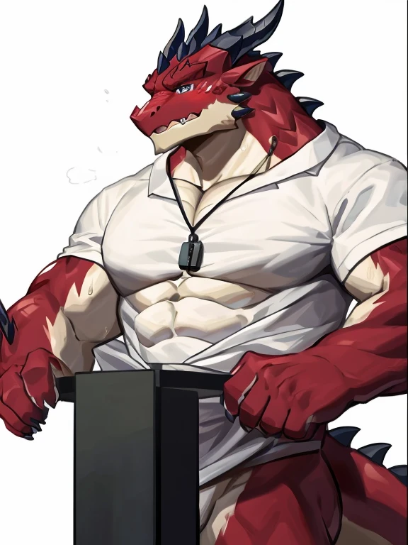 POV,top angle,sleep on stomach,lats,trapezius,butt lift,kemono, anthro (dragon), male, (dragon), muscular, back, red body, white belly ,sweat, ((correct anatomy)),stand up, sexy stand, white background, 1 boy, solo, pain expression, canine tooth, hd, dark shadows, wide dynamic range, hdr, low light:1.2, front view, dragon, hairy, black and white fur, hairy, Sweating, Sparkling blue eyes, Big pink‚ with big‚ abs‚ handsome‚ sex, sad face, wearing white shirt, shirt, up view, high quality, super detail, short, 1080P, high quality, high quality, best quality, 8k, super detail, 16k, injury, bloods, half body, full view, whistle, looking up, face up, side view, selfie, phone