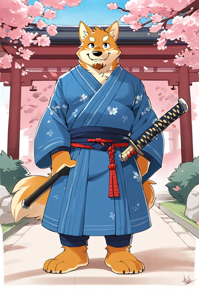 Dressed in blue、Anime character of a dog holding a sword, holding a naginata, Anthropomorphic Shiba Inu, Inspired by Chi Mansion, Japanese traditional clothing, kimono,barefoot,Furry paws,Fluffy tail,Traditional Japanese concept art, Shiba Inu holding a samurai sword,Takemoto Arashi,Shrine Background,Blue sky,Cherry tree,Slightly fat,Full facial hair,Full figure