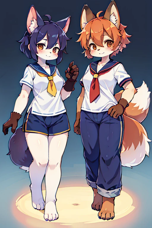 2 women, Fox and Raccoon, furry, Beastman, Animal hair, tail, Sailor suit, Short sleeve, Jersey pants, Long trousers, gloves, barefoot, M-shaped legs