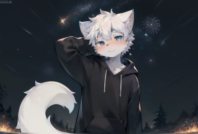 starry_sky, moon, crescent_moon, night_sky, night, shooting_star, sky, galaxy, starry_sky_print, male_focus, full_moon, aurora, milky_way, furry, 1boy, constellation, moonlight, solo, furry_male, starry_background, embers, fireworks,blush, detailed_background,amazing_background,white and gray fur, cat boy, black hoodie, massive long cat tail, blue eyes, white hair,detailed face,detailed eyes,head tilt, turning head,