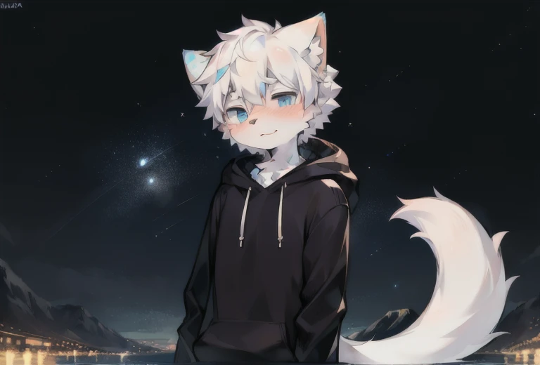 starry_sky, moon, crescent_moon, night_sky, night, shooting_star, sky, galaxy, starry_sky_print, male_focus, full_moon, aurora, milky_way, furry, 1boy, constellation, moonlight, solo, furry_male, starry_background, embers, fireworks,blush,  detailed_background,amazing_background,white and gray fur,  cat boy,  black hoodie, massive long cat tail, blue eyes, white hair,detailed face,detailed eyes,head tilt, turning head, shy, ocean view, birds flying in background