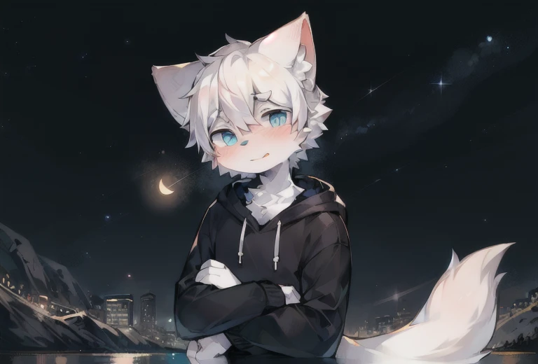 starry_sky, moon, crescent_moon, night_sky, night, shooting_star, sky, galaxy, starry_sky_print, male_focus, full_moon, aurora, milky_way, furry, 1boy, constellation, moonlight, solo, furry_male, starry_background, embers, fireworks,blush,  detailed_background,amazing_background,white and gray fur,  cat boy,  black hoodie, massive long cat tail, blue eyes, white hair,detailed face,detailed eyes,head tilt, turning head, shy, ocean view, birds flying in background