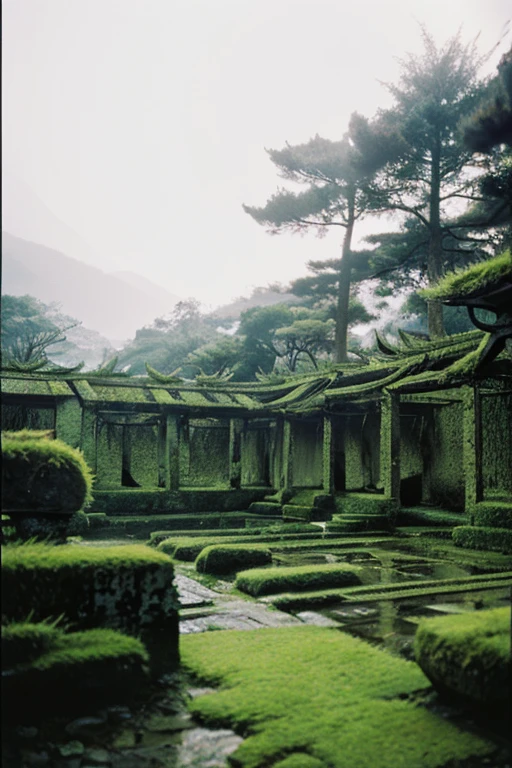 moss,Inside the ruins,narrow eyes,Showa,Glasses,Women,adventure,Black and White,