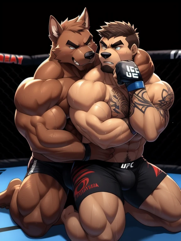 Duo male fighters(Brown Dog vs Brown Dog, handsomes, perfect eyes, Thick eyebrows), beso gay(Cuddling kneeling embraced around his neck from behind, in a UFC match), hot(Full body, shirtless), handsomes(They are handsomes, correct anatomy), musculosos(Big muscle bodies, Six packs, muscle abs, big pecs, muscle legs, muscle backs), sweaty(very sweaty wet bodies), tatuajes(they have tattoos), Angry(They have an angry expression), UFC gloves(They both are wearing UFC gloves), Boxers(They are wearing Black boxers, big bulges), Hight resolution, Black background 
