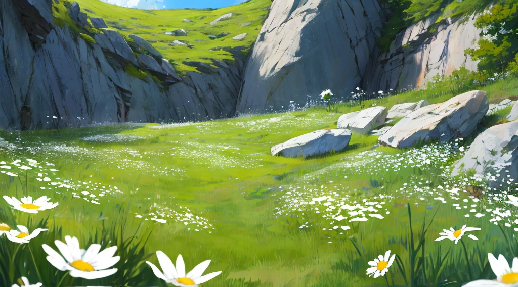 spring，Green Grass，white wildflowers，The rock wall，4k