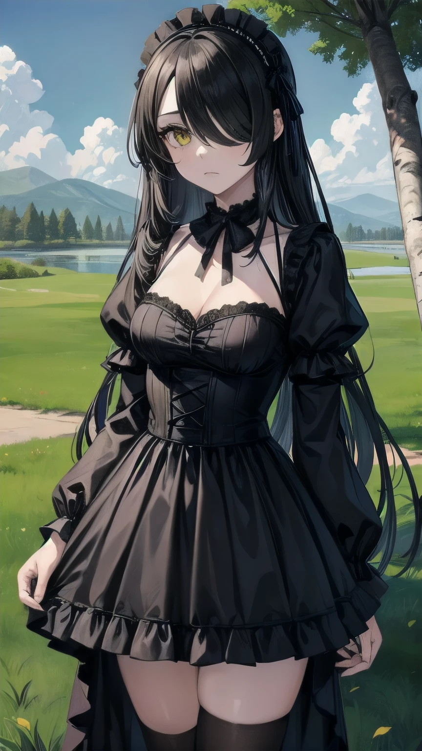 (masterpiece), best quality, expressive eyes, perfect face, ta fashion, gothic lolimature female, medium breasts, Cleavage, long hair, (hair over one eye), very long hair, straight hair, black hair BREAK yellow eye BREAK black dress, black thighhighs BREAK glaring, :/, standing, birch tree, birch forest, lake, grass, landscape,