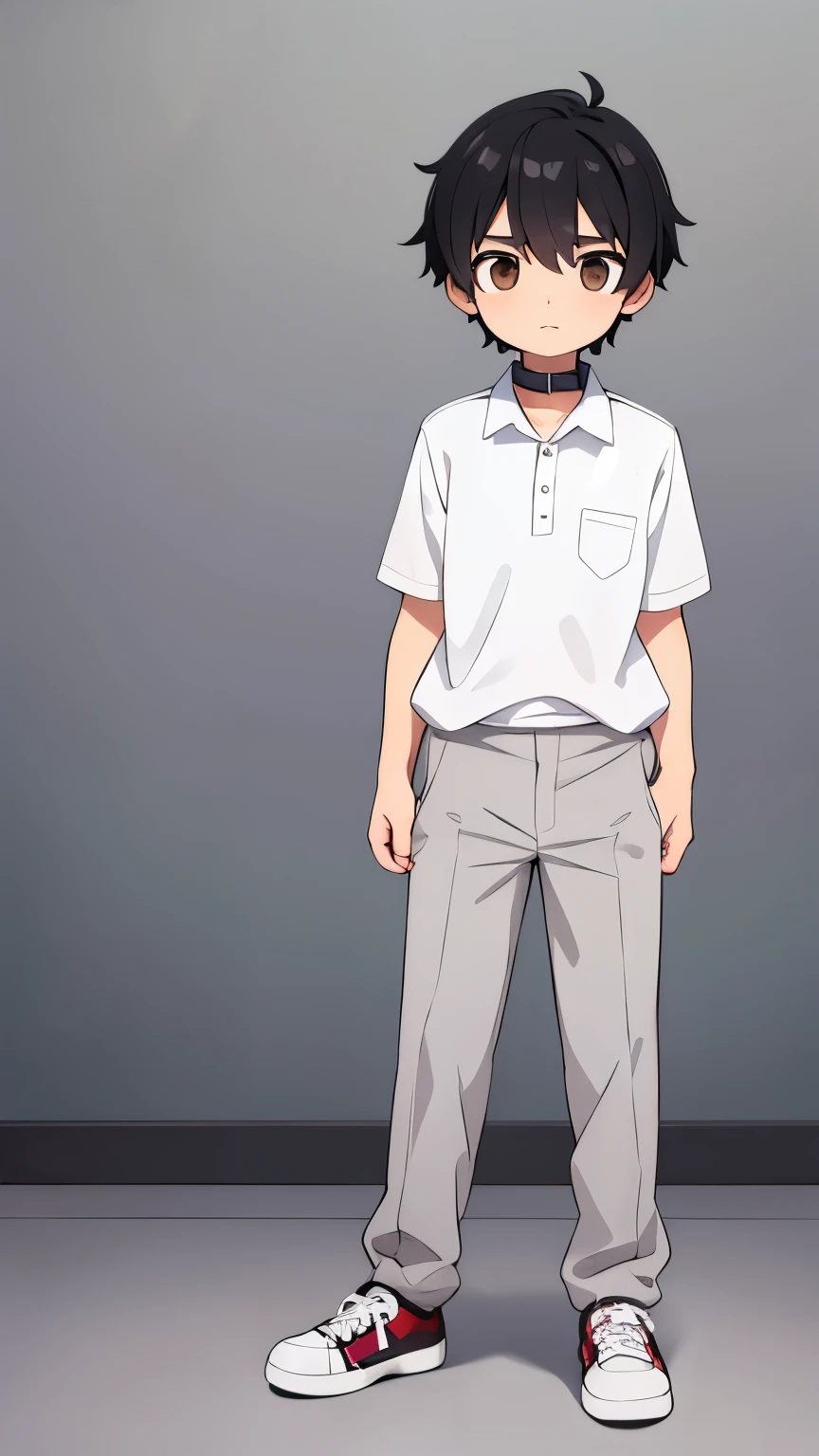 A normal 14 year old boy,Black Hair,Brown eyes,Gentle expression,White shirt with collar,Gray slacks,feet are sneakers,Full body view,Character portrait