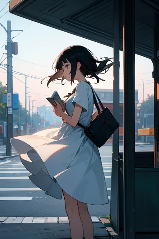 In front of the bus stop, a girl,White Dress,Loose black hair,Looking at the poetry book in my hand, There was a wind blowing, evening,no sun