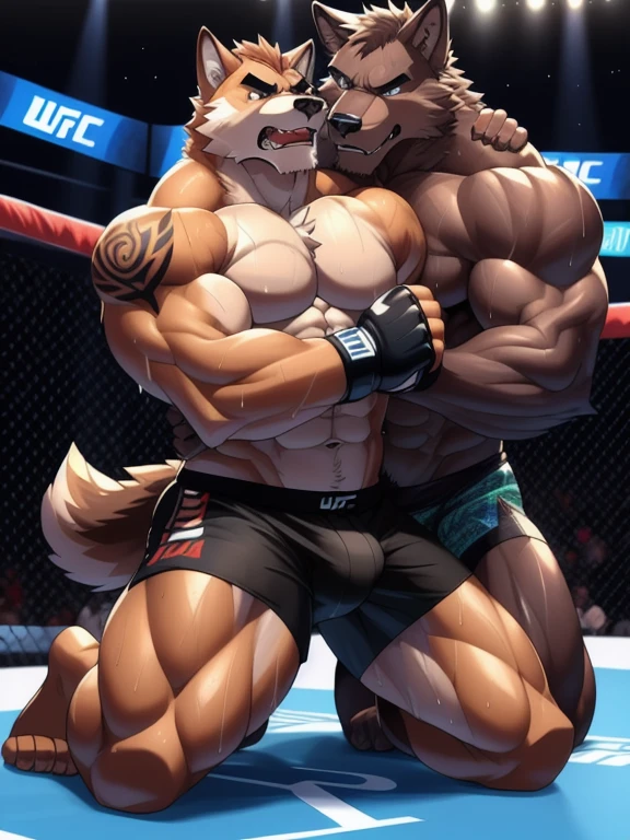 Duo male fighters(Brown Wolf vs Brown Wolf, handsomes, perfect eyes, Thick eyebrows), beso gay(kneeling around his neck from behind, Trying to escape with a hurt expression, in a UFC match), hot(Full body, shirtless), handsomes(They are handsomes, correct anatomy), musculosos(Big muscle bodies, Six packs, muscle abs, big pecs, muscle legs, muscle backs), sweaty(very sweaty wet bodies), tatuajes(they have tattoos), Angry(They have an angry expression), UFC gloves(They both are wearing UFC gloves), Boxers(They are wearing Black boxers, big bulges), Hight resolution