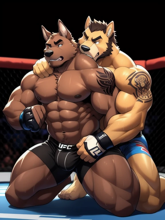 Duo male fighters(Brown Dog vs Brown Dog, handsomes, perfect eyes, Thick eyebrows), beso gay(Cuddling kneeling embraced from behind and from the neck, in a UFC match), hot(Full body, shirtless), handsomes(They are handsomes, correct anatomy), musculosos(Big muscle bodies, Six packs, muscle abs, big pecs, muscle legs, muscle backs), sweaty(very sweaty wet bodies), tatuajes(they have tattoos), Angry(They have an angry expression), UFC gloves(They both are wearing UFC gloves), Boxers(They are wearing Black boxers, big bulges), Hight resolution, Black background 