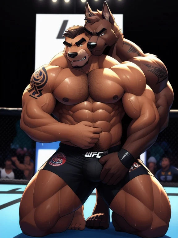 Duo male fighters(Brown Dog vs Brown Dog, handsomes, perfect eyes, Thick eyebrows), beso gay(Cuddling kneeling embraced from behind and forearm squeezing the neck, in a UFC match), hot(Full body, shirtless), handsomes(They are handsomes, correct anatomy), musculosos(Big muscle bodies, Six packs, muscle abs, big pecs, muscle legs, muscle backs), sweaty(very sweaty wet bodies), tatuajes(they have tattoos), Angry(They have an angry expression), UFC gloves(They both are wearing UFC gloves), Boxers(They are wearing Black boxers, big bulges), Hight resolution, Black background