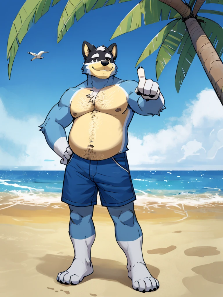 masterpiece, best quality, illustration, flat color, anime coloring, good anatomy, absurd res, by Paul Hedley，Anthropomorphic dog，fuzzy的身体，blue fur, Topless，Blue shorts，Stand with your feet apart，one hand pointing to the sky，one hand on hip，Visual audience，Confident smile，seaside，Blue sky，Waves，Seagull，coconut tree，((Full body shape，Slightly fat，fuzzy，Full facial hair, fuzzy的尾巴，Furry paws))