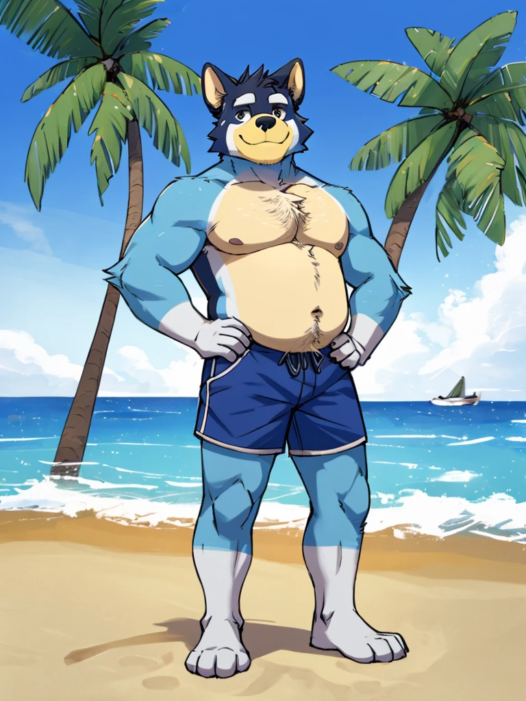 masterpiece, best quality, illustration, flat color, anime coloring, good anatomy, absurd res, by Paul Hedley，Anthropomorphic dog，fuzzy的身体，blue fur, Topless，Blue shorts，Stand with your feet apart，one hand pointing to the sky，one hand on hip，Visual audience，Confident smile，seaside，Blue sky，Waves，Seagull，coconut tree，fuzzy的尾巴，((Full body shape，Slightly fat，fuzzy，Full facial hair, fuzzy的尾巴，Furry paws))