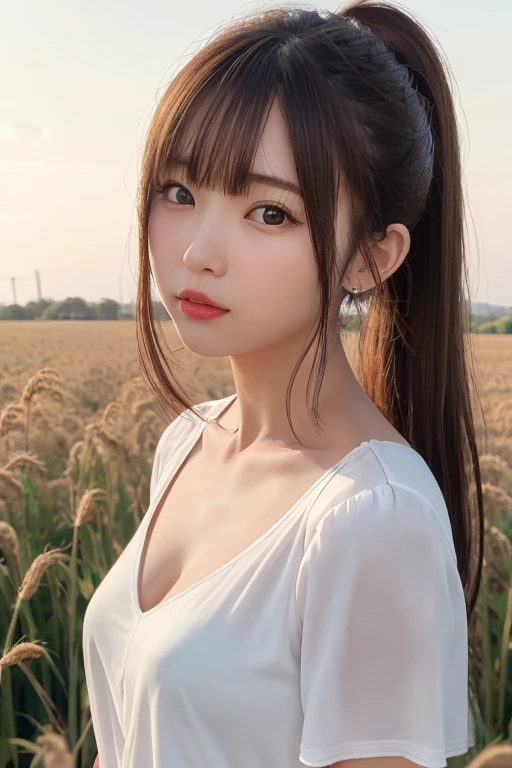 (masterpiece:1.4),, (highest quality:1.4),, Ultra-high resolution,, 8k, CG,, (Very delicate and beautiful:1.2),, , Upper Body,, From the side,, View your viewers,, , One girl,, alone,, Robber Girl,, Mature Girls,, , cute, sweet,, , In the wheat field,, blurred background,, , Long brown hair,, ponytail,, , Brown eyes,, Mouth closed,, Red lips,, , Face blown by the wind,, , White Dress,, Medium chest,Revealing clothing、Shameless
