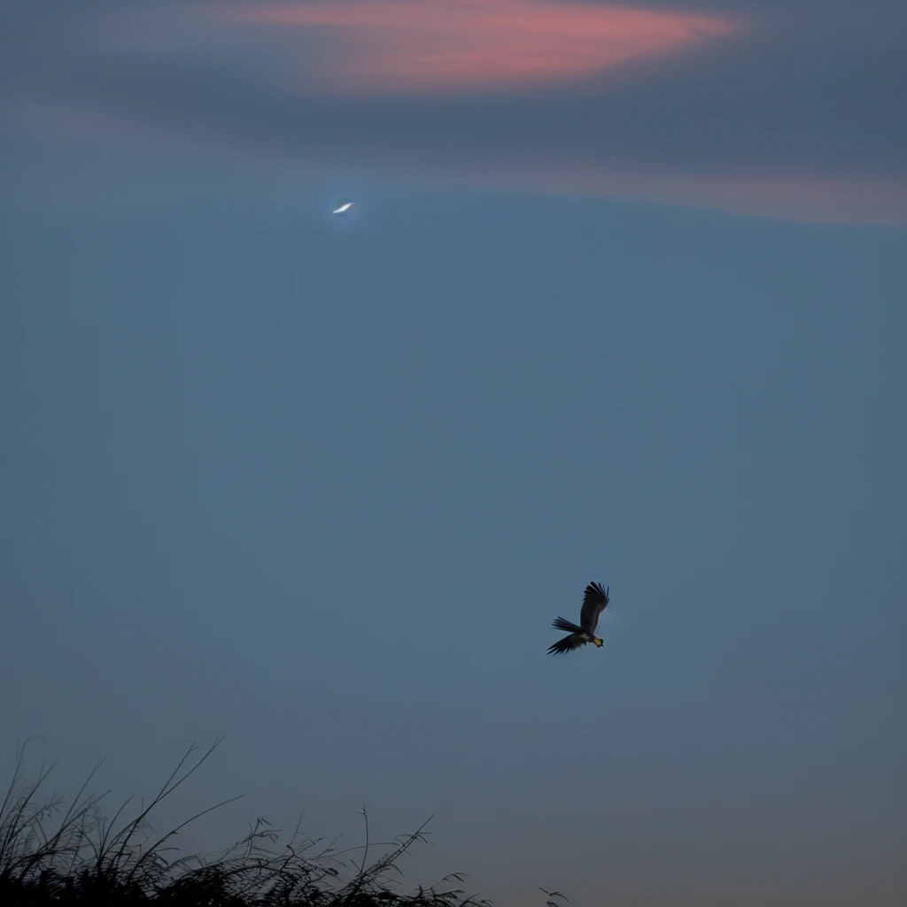A lost bird，Flying alone at dusk，Wandering around without a fixed place，The sad howl every night，Excited chirping，Don&#39;t know where to go，Full of the wish to return，Looking for a reliable place to stay