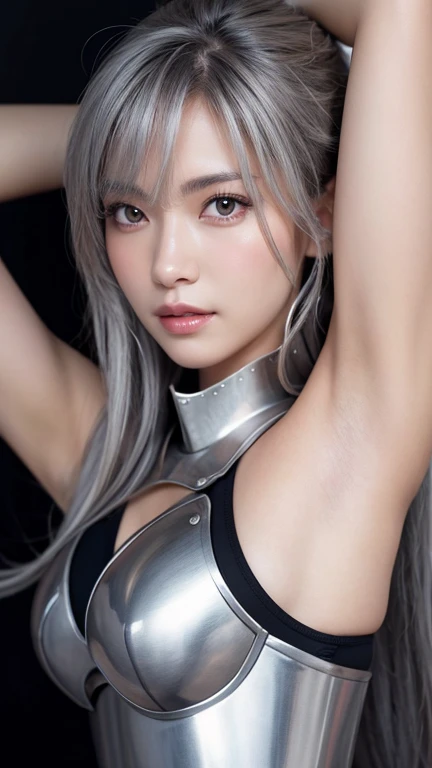 Realistic, High resolution, 1 female, alone, Hip Up, Displaying the viewer, (Detailed face), Gray Hair, Long Hair, knight armor、Steel Armor、Armpit