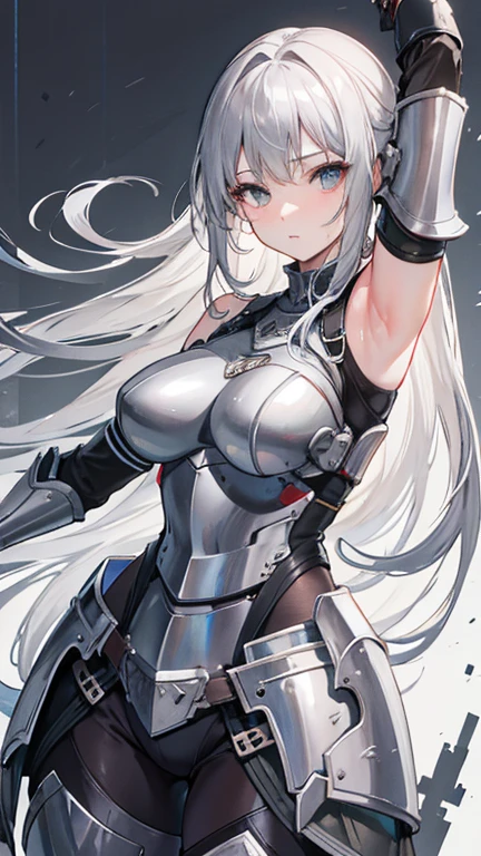 Realistic, High resolution, 1 female, alone, Hip Up, Displaying the viewer, (Detailed face), Gray Hair, Long Hair, knight armor、Steel Armor、Armpit