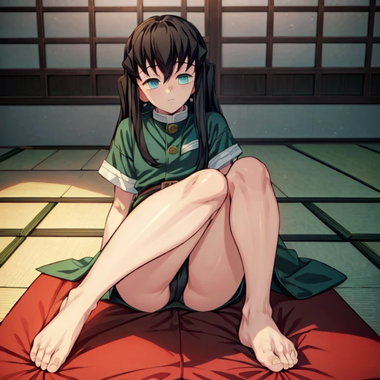 ((Masterpiece)), ((highest quality)), young male, Muichiro Tokito_Demon Slayer, In a japanese bedroom, showing the soles of his feet, perfect feet, five toe feet, feet focus