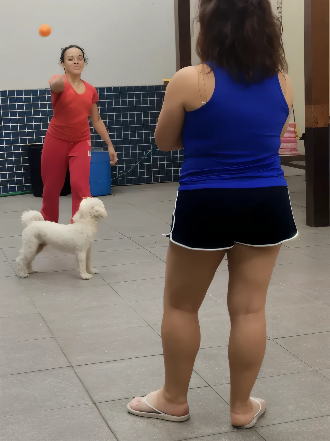 there is a woman and a dog playing with a ball, the dog is doing a ballet dance, by Amelia Peláez, with dogs, in a gym, dancing in the background, lunging at camera :4, the photo shows a large, by Samuel Silva, standing on two legs, malika favre, person in foreground, not blurry