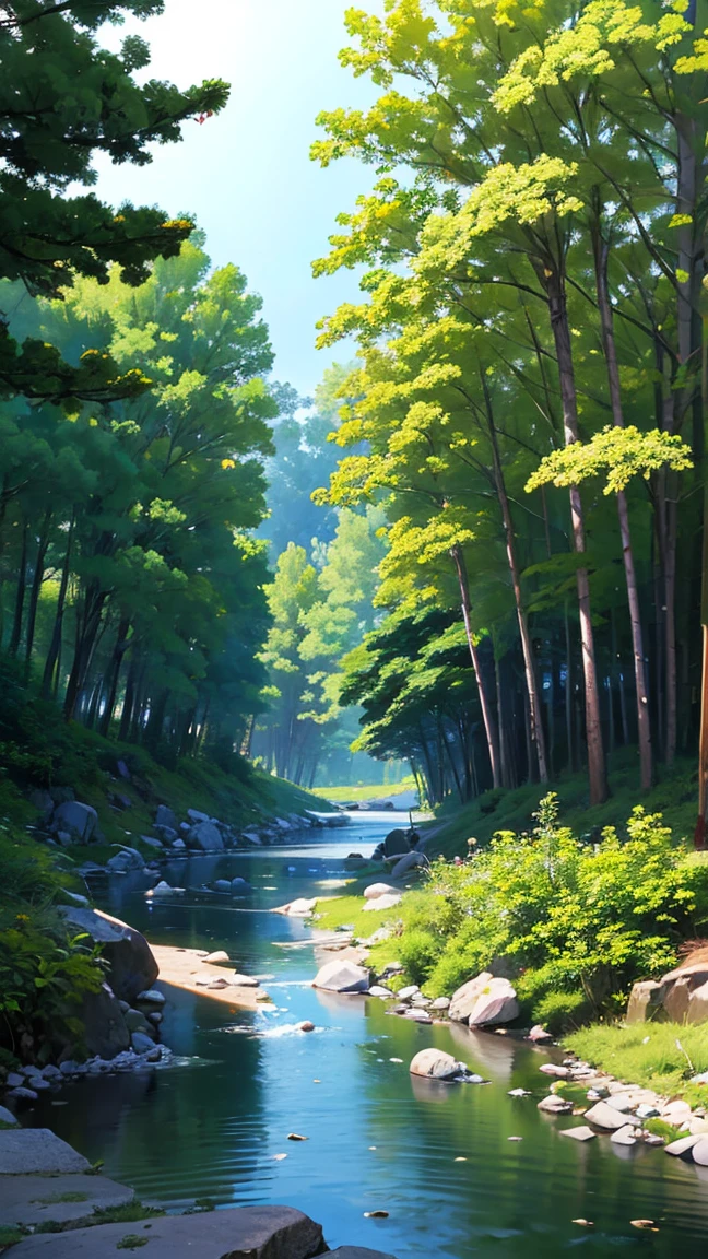 癒されるWind景 forest river sunny Comfortable Wind Sandy Beach Reality highest quality