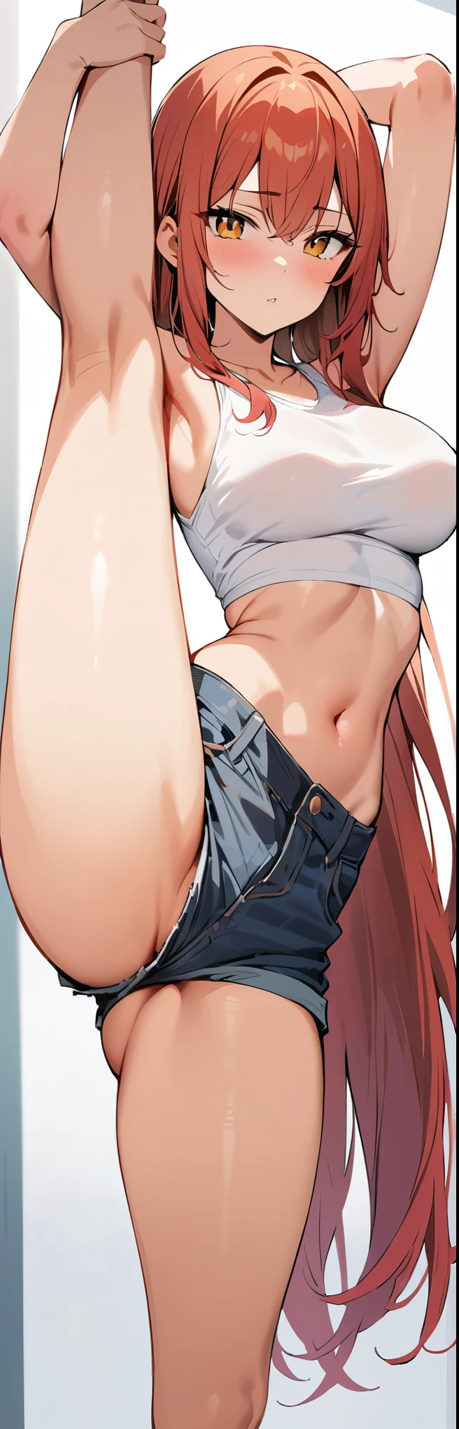 (masterpiece, best quality:1.2), 1girl, solo,standing_split,
long hair, White sleeveless tank top, denim hotpants