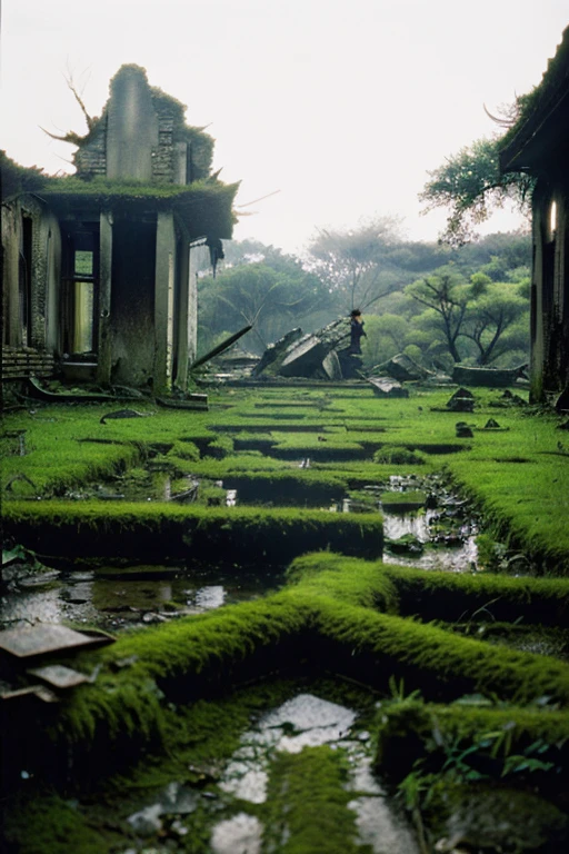 moss,Collapse,Devastation,Inside the ruins is narrow,Showa,Glasses,Women,adventure,Black and White,