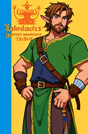 Link Elf Male Adult , Small Beard  , Brown hair, blue pupils ,  medieval times Clothing  ,