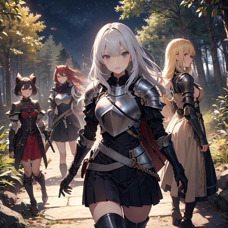 A group of female knights, (in forest), various hair styles, harem, wearing armored clothes, metal armor, night, details face, short skirt, seducing, sword,