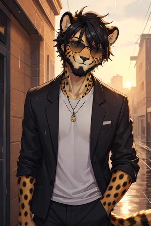 Cheetah, antro, male, solo, non-human, informal clothes, Rain, younger, 20 years old, taller, messy hair, cheetah face, slim body, cheetah tail, sun glasses, black hair, little smile, furry, beard,