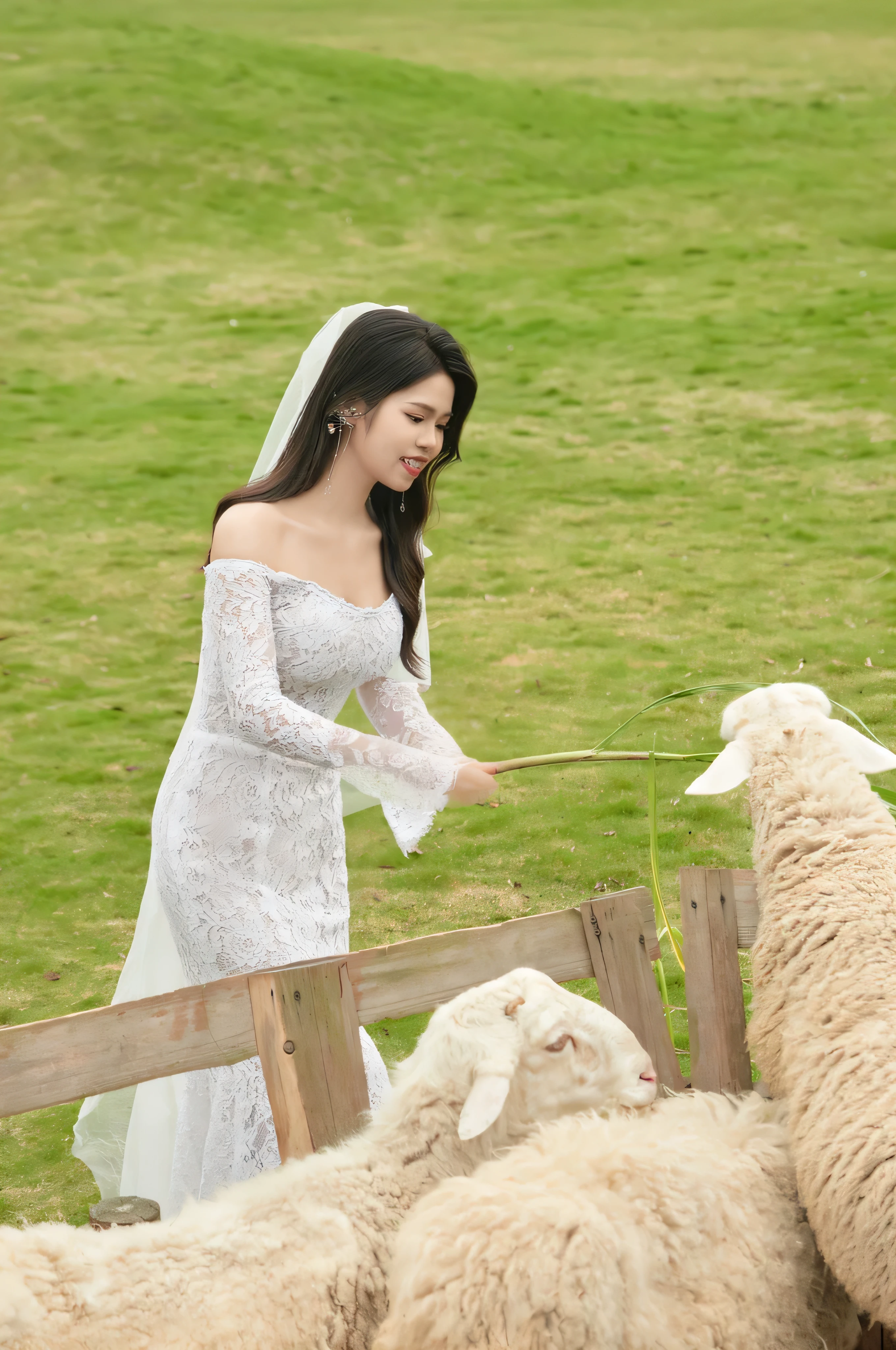 Bride in white dress feeding sheep with both hands in fenced area on grass, Song Hye Kyo, Lee Ji-eun, Lee Ji-eun, Cui Xianhua, Bae Suzy, Yoon Se-sun, Beautiful lady, sha xi, Wearing a white dress, Huang Shishi, Nam Jae-yeon, from me, wedding, pretty, official photo