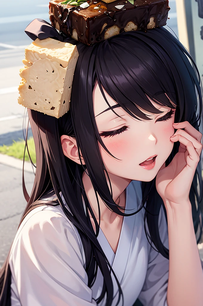 manga,1girl,((tofu on her head)),a girl sleeping on the road,19yo, eyes closed, mouth open, black hair,long hair,japanese,avenue,perfect anatomy,beautiful detailed teeth, small mouth, fresh lips,beautiful lighting, volumetric lighting, dynamic angle, sharp,