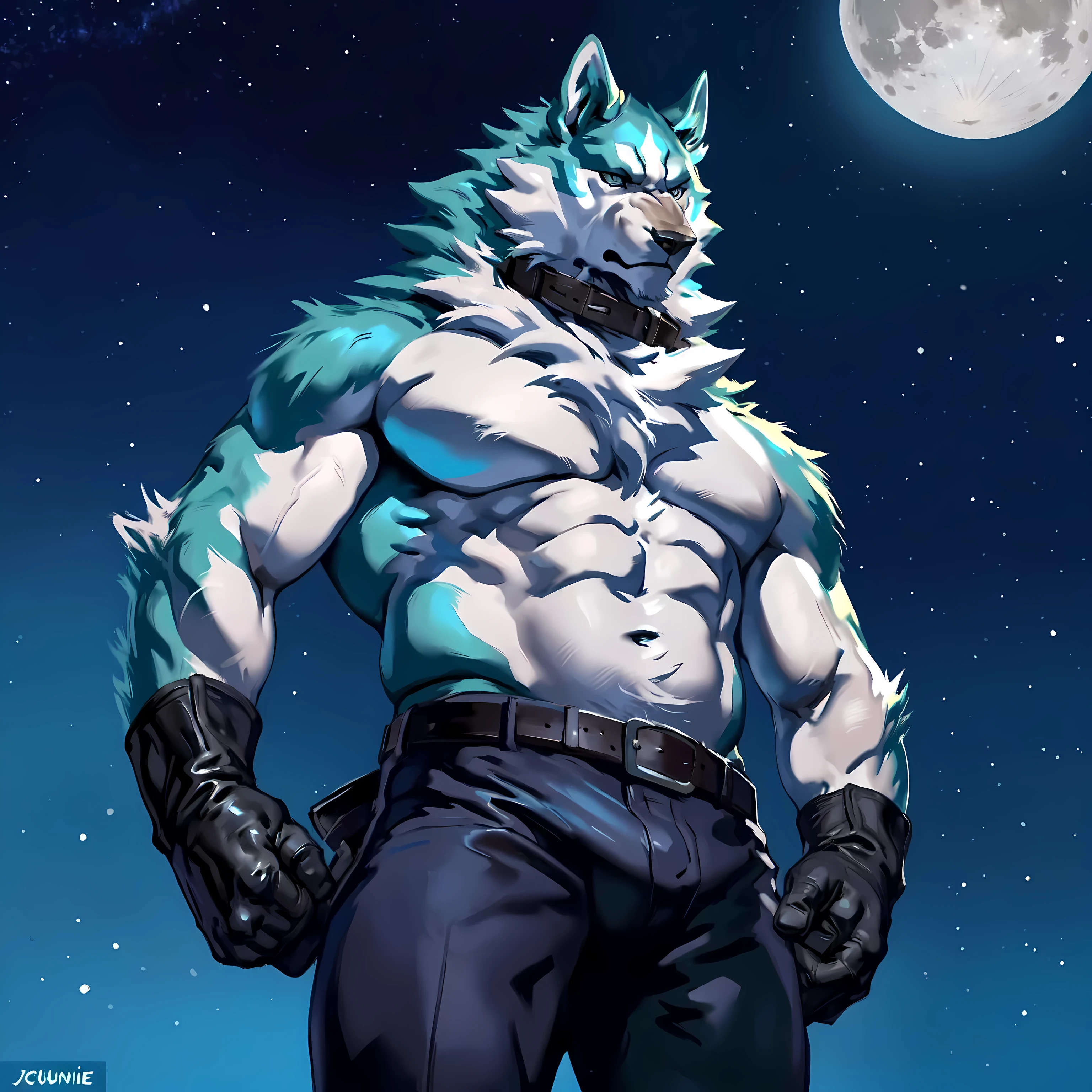 shirou_ogami, shirou_BNA, 4k, high resolution, best quality, posted on e621, solo, anthro body, male, adult, masculine, (very muscular, heavyweight build:1.0), correct anatomy, (night sky background, stars, full moon):1.1, (by taran fiddler, by juiceps, by chunie:1.0), (collar, belt, pants:1.1), (detailed face, detailed eyes:1.1), (cel shaded:1.2), strong shadows, confident, darkness:1.2, dark shadows, standing in shadows, dim, bare chest, bare shoulders, bare arms, wearing gloves, stern face, half body, close-up, low-angle shot