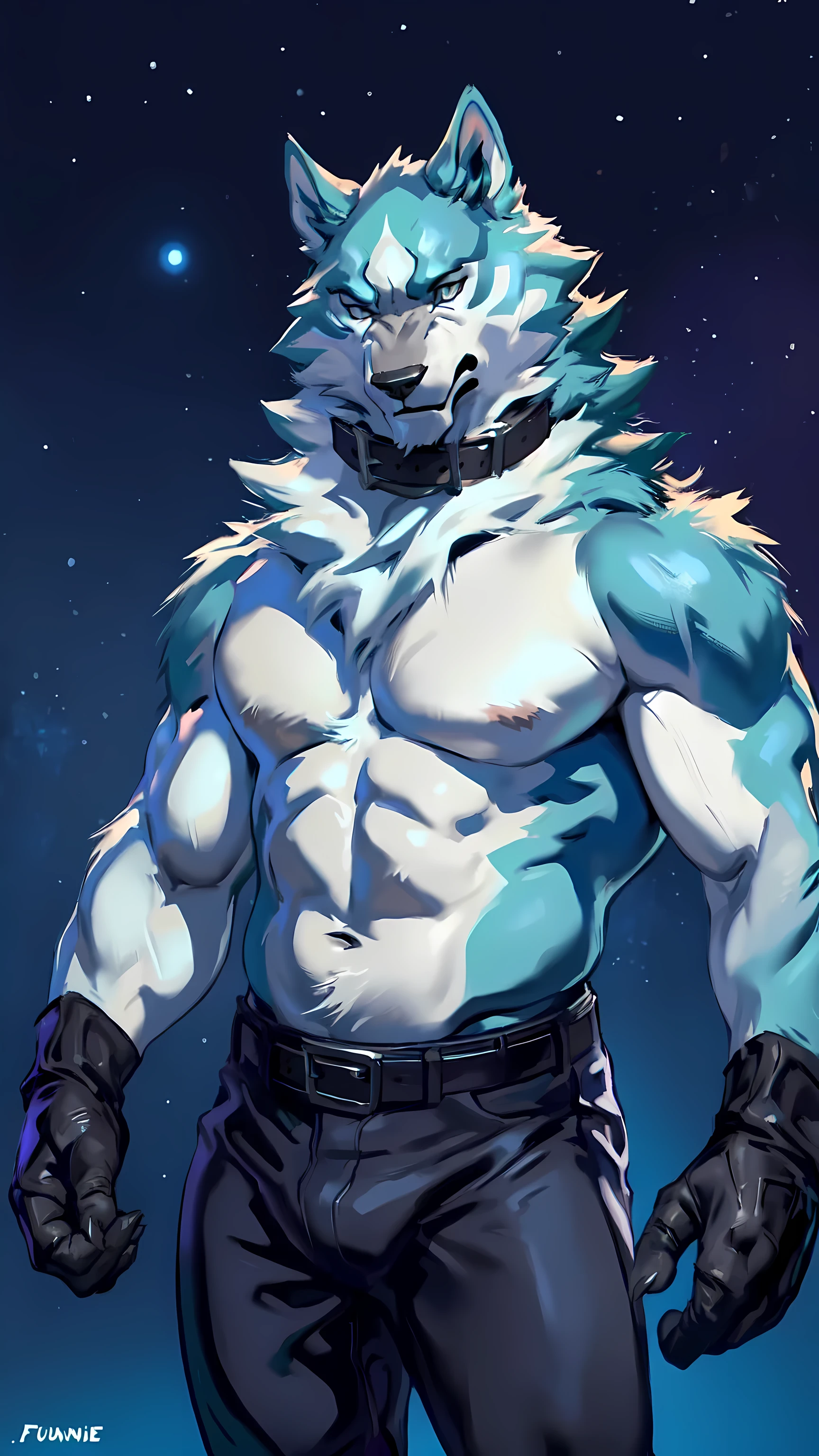 shirou_ogami, shirou_BNA, 4k, high resolution, best quality, posted on e621, solo, anthro body, male, adult, masculine, (very muscular, heavyweight build:1.0), correct anatomy, (night sky background, stars, northern lights):1.1, (by taran fiddler, by juiceps, by chunie:1.0), (collar, belt, pants:1.1), (detailed face, detailed eyes:1.1), (cel shaded:1.2), (strong shadows, darkness, dark shadows, standing in shadows, dim):1.2, confident, bare chest, bare shoulders, bare arms, wearing gloves, stern face, half body, close-up