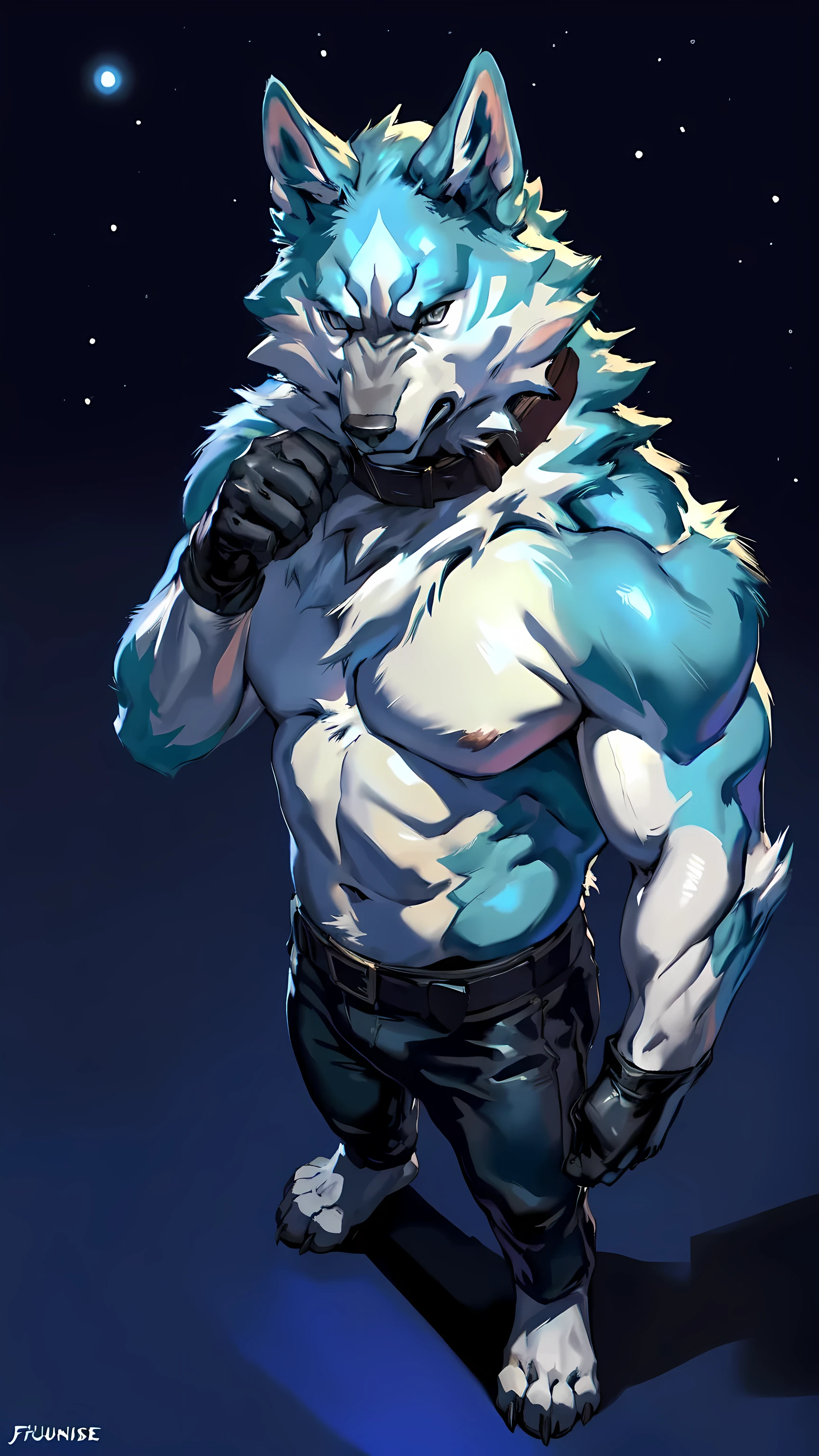 shirou_ogami, shirou_BNA, 4k, high resolution, best quality, posted on e621, solo, anthro body, male, adult, masculine, (very muscular, heavyweight build:1.2), correct anatomy, (night sky background, stars):1.1, (by taran fiddler, by juiceps, by chunie:1.0), (collar, belt, pants:1.1), (detailed face, detailed eyes:1.1), (cel shaded:1.2), strong shadows, confident, darkness:1.2, dark shadows, standing in shadows, dim, bare chest, bare shoulders, bare arms, wearing gloves, stern face, full body, bare feet, wolf feet, high-angle shot