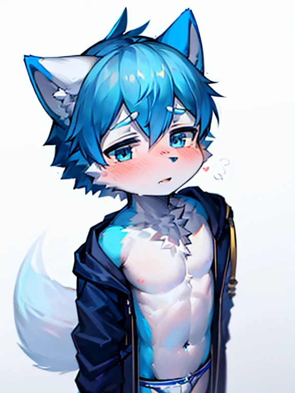 1 boy, Wolf, Blue fur, young people, blue eyes, Messy hair, blue white hair, short hair, masterpiece, Topless，Plain white briefs，blush