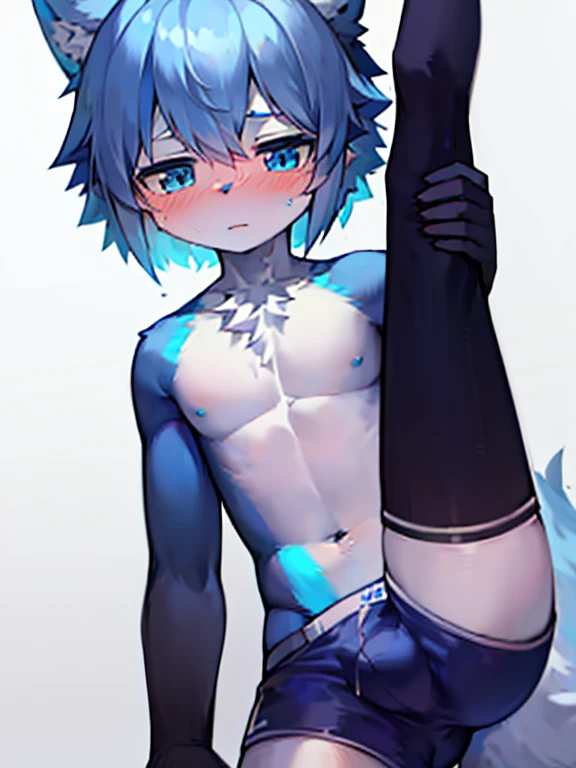 1 boy, Wolf,young people,Blue fur, young people, blue eyes, Messy hair, blue white hair, short hair, masterpiece,Topless,Plain white briefs,blush,Looking at the camera