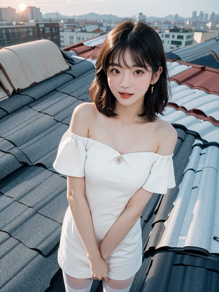 (1 Korean star with royal sister style), ((Best quality, 8K, Masterpiece: 1.3)), focal point: 1.2, Perfect body proportions: 1.4, (Make a smile), (Sunset: 1.3),  Watery eyes, Highly Detailed Face and Skin Textur, Fine eyes, Double eyelids, Whitens the skin, (long whitr hair, Air bangs: 1.3), (Round face inches: 1.5), (off the shoulder dress: 1.4), (Standing on the roof: 1.6),(white stockings: 1.4),(film grain style:1.3)，a sense of atmosphere