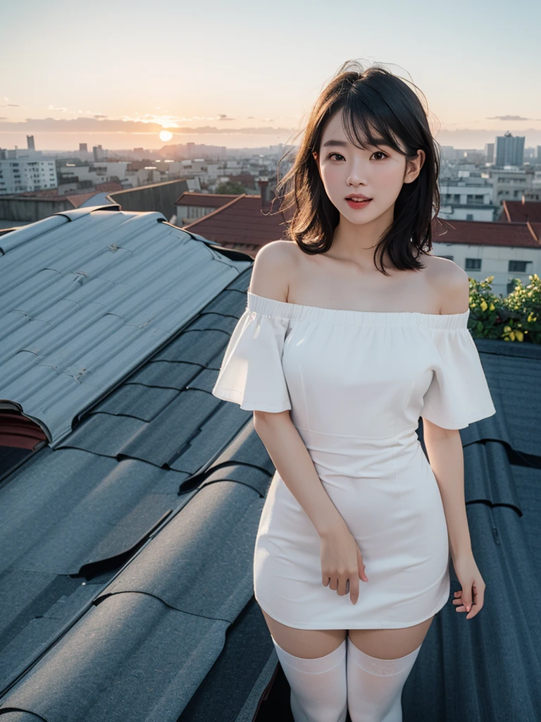 (1 Korean star with royal sister style), ((Best quality, 8K, Masterpiece: 1.3)), focal point: 1.2, Perfect body proportions: 1.4, (Make a smile), (Sunset: 1.3), Watery eyes, Highly Detailed Face and Skin Textur, Fine eyes, Double eyelids, Whitens the skin, (long whitr hair, Air bangs: 1.3), (Round face inches: 1.5), (off the shoulder dress: 1.4), (Standing on the roof: 1.6),(white stockings: 1.4),(film grain style:1.3),a sense of atmosphere