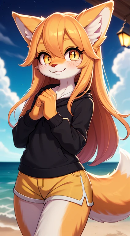 Fox Girl, ((((Furry))), furry, golden fur, long blonde hair, golden fur all over, golden fur on the hands, forelimb hands, golden fur on the back of the hands, palm fur, eyes with light, reddish-orange eyes, super cute face, brown elements on fur, ambient light, super fine fur, volumetric light, night, seaside, clouds in the sky, blue day, natural lighting, smile, fluffy tail, bright pupils, black falda,sin camisa.