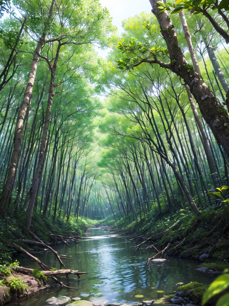 Mangrove forest