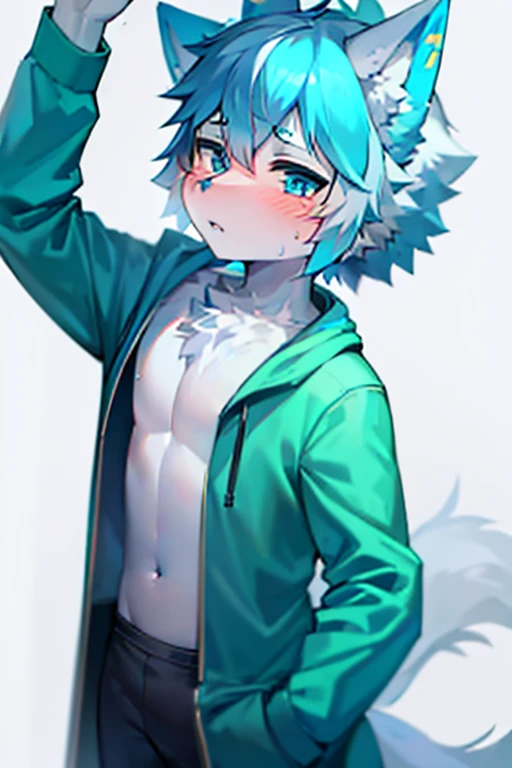 1 boy, Wolf,young people，Blue fur, young people, blue eyes, Messy hair, blue white hair, short hair, masterpiece，blush