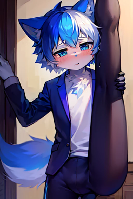 1 boy, Wolf,young people，Blue fur, young people, blue eyes, Messy hair, blue white hair, short hair, masterpiece，blush