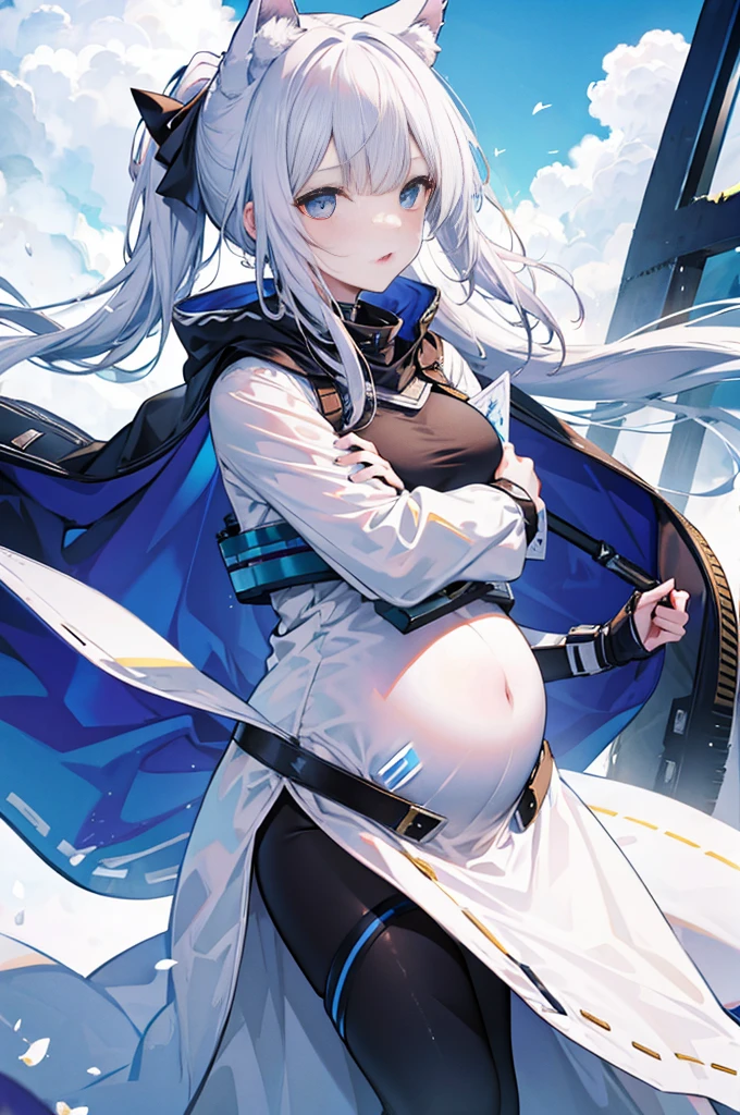 4K,high resolution,A woman,Silver Hair,Short Ponytail,Wolf ears,Wolf Tail,blue eyes,Large Breasts,,,Snow Scene,Show your shoulders,Combat uniform,Pregnant