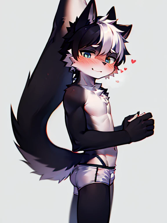 1 boy, Wolf,young people,Black fur,Topless,Heterochromia,Plain white briefs,blush