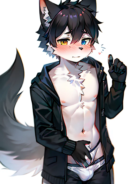 1 boy, Wolf,young people，Black fur，Topless，Heterochromia，Plain white briefs，blush