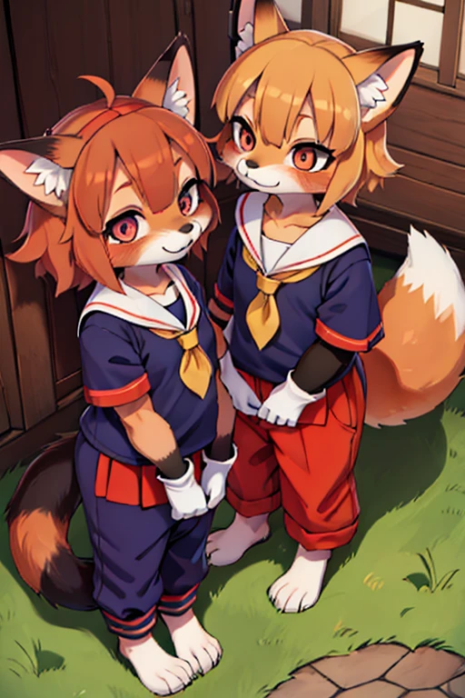 2 females, fox and raccoon, Furry, Beastman, animal hair, tail, Sailor suit, Short sleeve, Jersey pants, Long trousers, gloves, barefoot, School, Primary school students