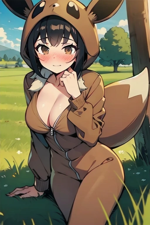 masterpiece, super detail, best quality, beautiful girl, 18years old, cleavage, pokekid, hood, brown onesie, tail, embarrassed, grassland