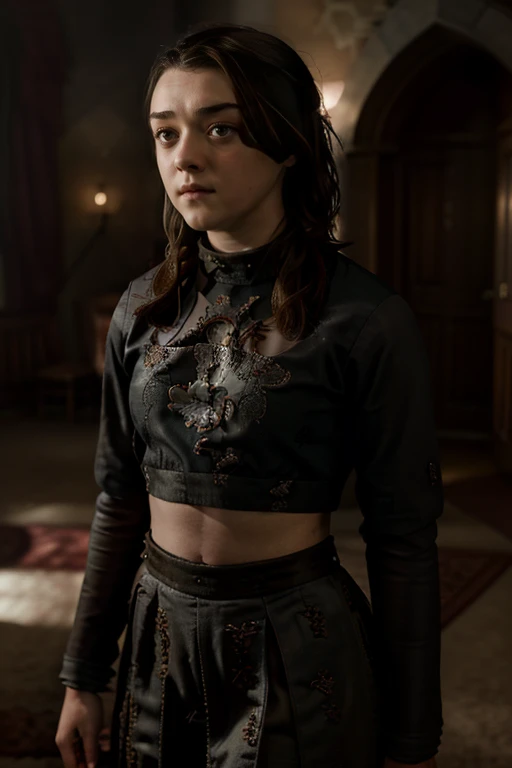 Masterpiece, best quality, detailed face, Arya Stark, sexy dress, midriff, in a room, looking at viewer, sexy smirk face