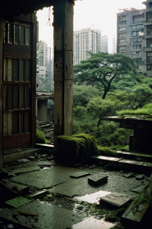 City,moss,Collapse,Devastation,Inside the ruins is narrow,Showa,Glasses,Women,adventure,Black and White,